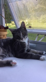 02810532-7FA5-4303-A8BE-B6ACDABD0AED